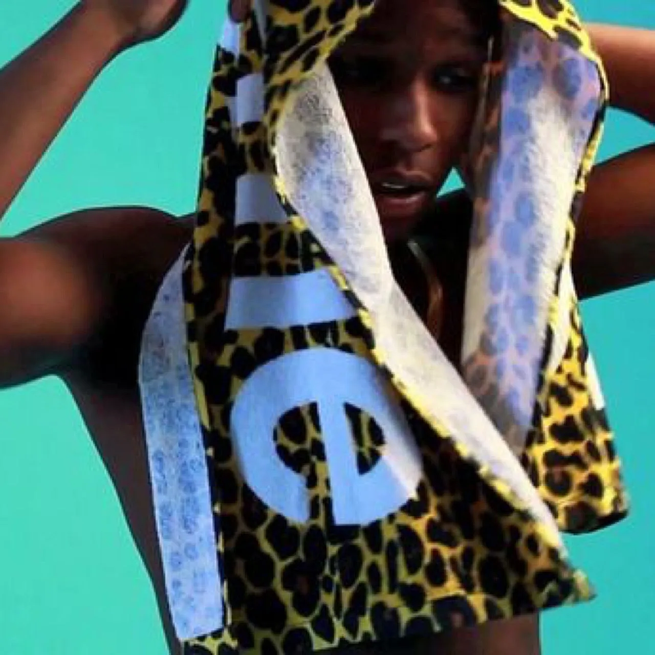 Supreme Leopard Towel